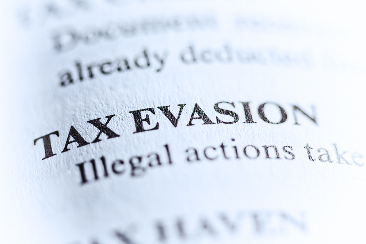 Evasion - Meaning, Examples - Evasion in a sentence